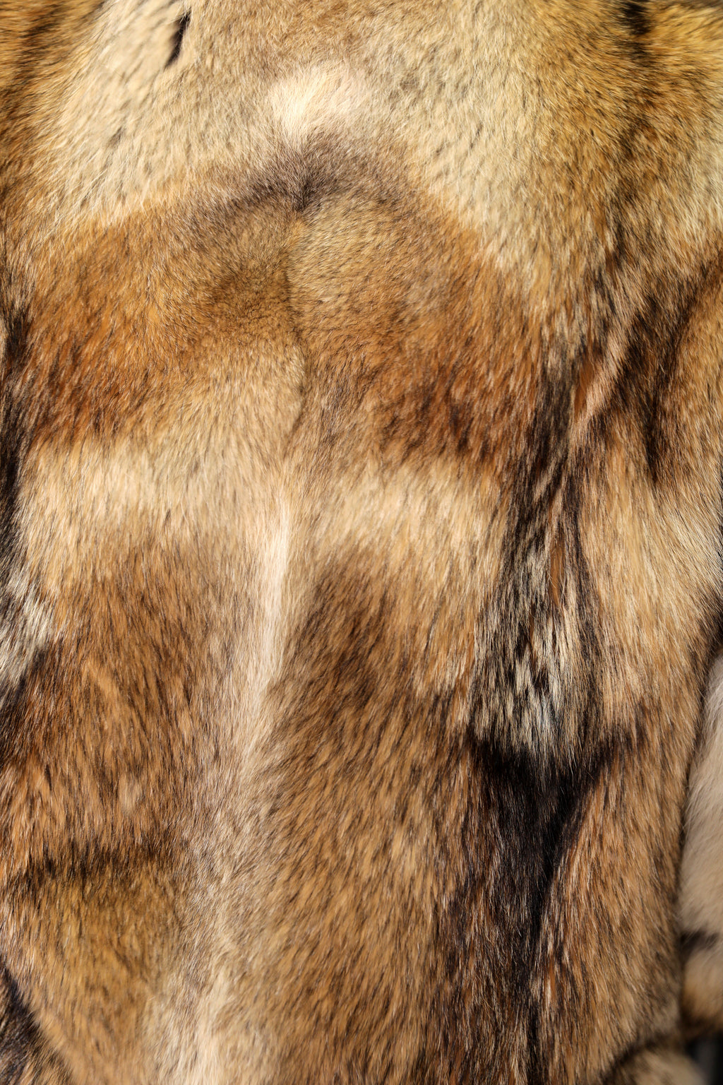 Men's Full-Skin Coyote Hooded Bomber