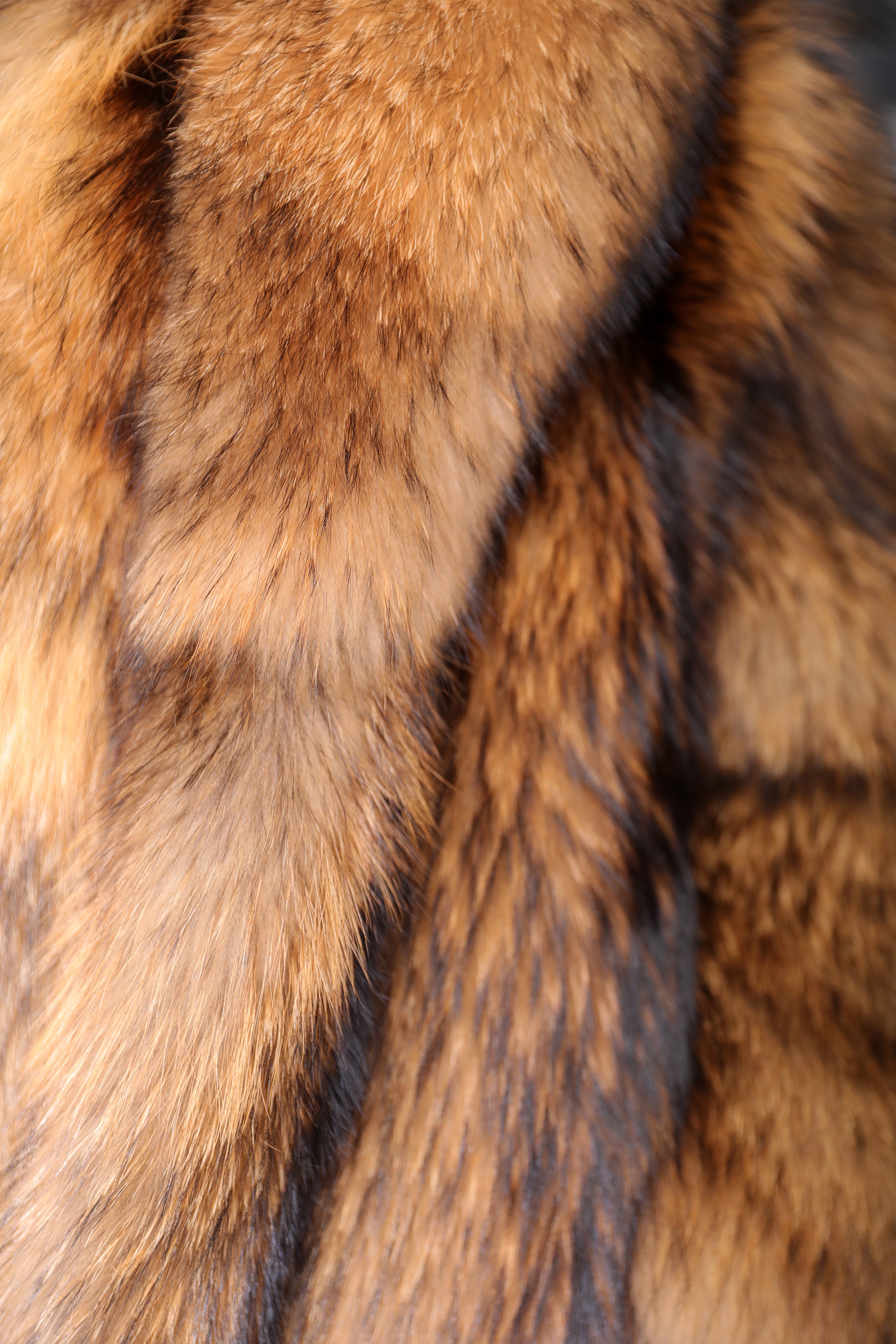 Men's Full-Length Full-Skin Finn Raccoon Coat